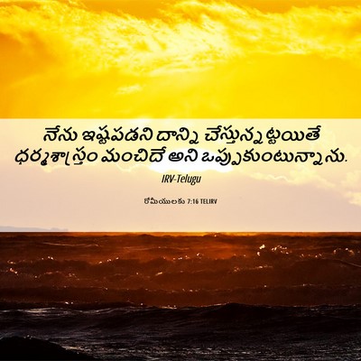 Picture 06 - రోమీయులకు 7:16 TELIRV - నేను ఇష్టపడని - Bible Verse Picture
