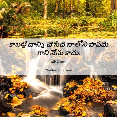 Picture 06 - రోమీయులకు 7:17 TELIRV - కాబట్టి దాన్ని - Bible Verse Picture