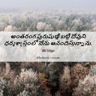 Picture 06 - రోమీయులకు 7:22 TELIRV - అంతరంగ పురుషుణ్ణి - Bible Verse Picture