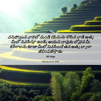 Picture 06 - రోమీయులకు 8:11 TELIRV - చనిపోయిన వారిలో - Bible Verse Picture
