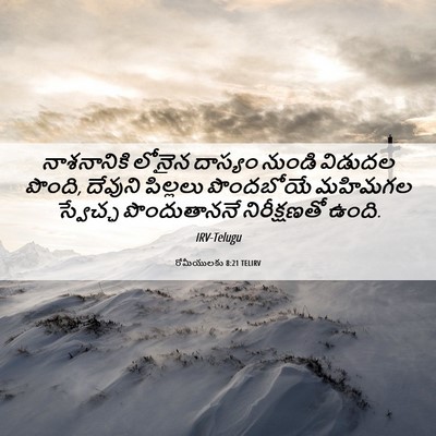 Picture 06 - రోమీయులకు 8:21 TELIRV - నాశనానికి లోనైన - Bible Verse Picture