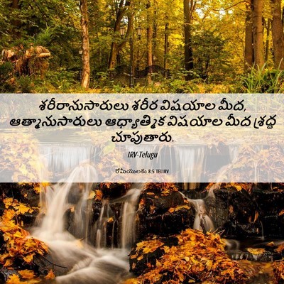 Picture 06 - రోమీయులకు 8:5 TELIRV - శరీరానుసారులు - Bible Verse Picture