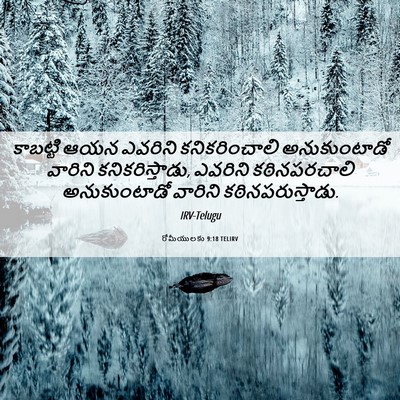 Picture 06 - రోమీయులకు 9:18 TELIRV - కాబట్టి ఆయన - Bible Verse Picture