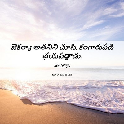 Picture 06 - లూకా 1:12 TELIRV - జెకర్యా అతనిని - Bible Verse Picture