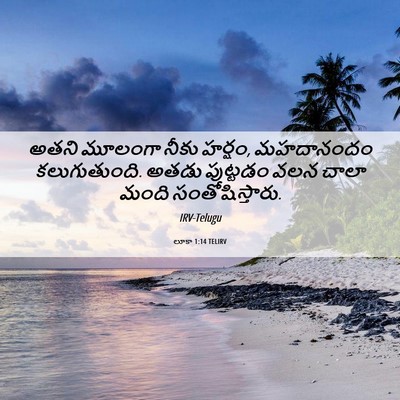 Picture 06 - లూకా 1:14 TELIRV - అతని మూలంగా నీకు - Bible Verse Picture
