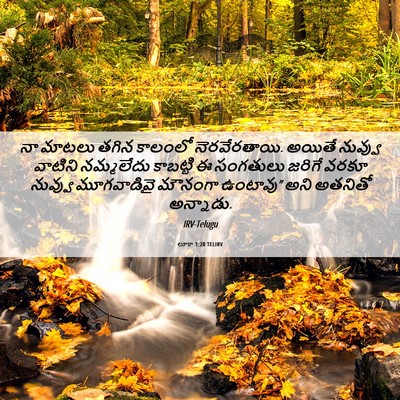 Picture 06 - లూకా 1:20 TELIRV - నా మాటలు తగిన - Bible Verse Picture