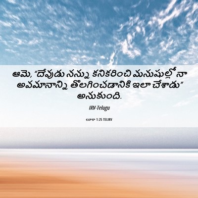Picture 06 - లూకా 1:25 TELIRV - ఆమె, “దేవుడు నన్ను - Bible Verse Picture