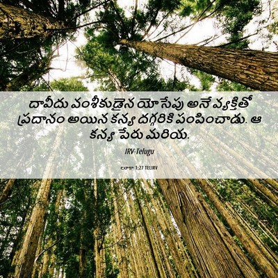 Picture 06 - లూకా 1:27 TELIRV - దావీదు వంశీకుడైన - Bible Verse Picture