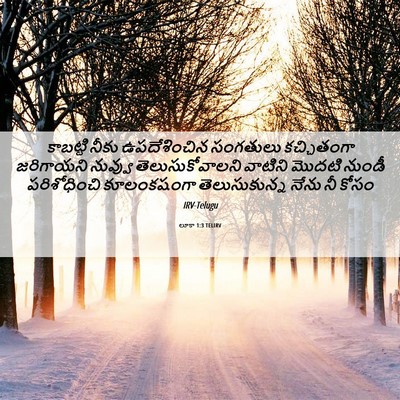 Picture 06 - లూకా 1:3 TELIRV - కాబట్టి నీకు - Bible Verse Picture