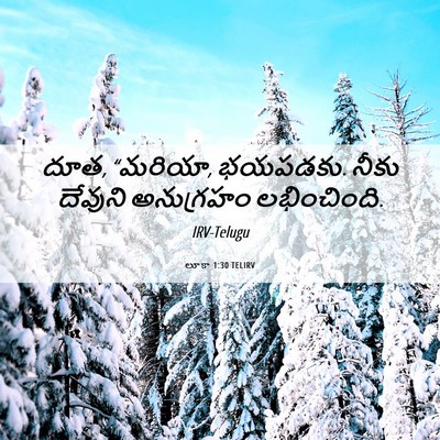 Picture 06 - లూకా 1:30 TELIRV - దూత, “మరియా, - Bible Verse Picture