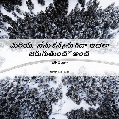Picture 06 - లూకా 1:34 TELIRV - మరియ, “నేను కన్యను - Bible Verse Picture