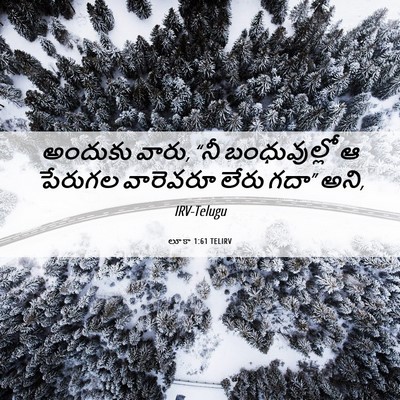Picture 06 - లూకా 1:61 TELIRV - అందుకు వారు, “నీ - Bible Verse Picture
