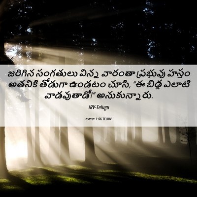 Picture 06 - లూకా 1:66 TELIRV - జరిగిన సంగతులు - Bible Verse Picture