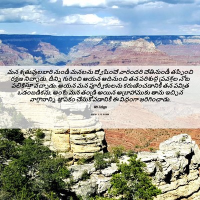 Picture 06 - లూకా 1:73 TELIRV - మన శత్రువులబారి - Bible Verse Picture
