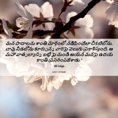 Picture 06 - లూకా 1:79 TELIRV - మన పాదాలను శాంతి - Bible Verse Picture