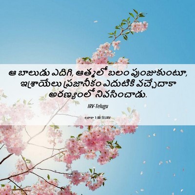 Picture 06 - లూకా 1:80 TELIRV - ఆ బాలుడు ఎదిగి, - Bible Verse Picture