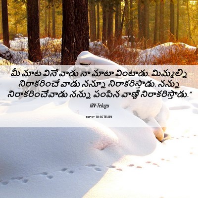Picture 06 - లూకా 10:16 TELIRV - మీ మాట వినే వాడు నా - Bible Verse Picture