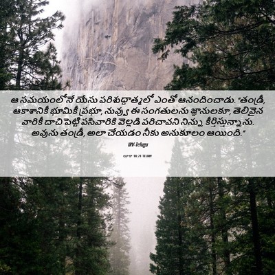 Picture 06 - లూకా 10:21 TELIRV - ఆ సమయంలోనే యేసు - Bible Verse Picture