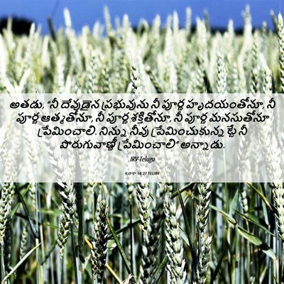 Picture 06 - లూకా 10:27 TELIRV - అతడు, “నీ దేవుడైన - Bible Verse Picture
