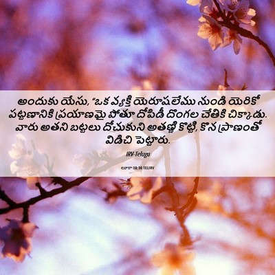 Picture 06 - లూకా 10:30 TELIRV - అందుకు యేసు, “ఒక - Bible Verse Picture