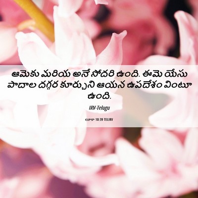 Picture 06 - లూకా 10:39 TELIRV - ఆమెకు మరియ అనే - Bible Verse Picture