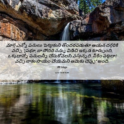 Picture 06 - లూకా 10:40 TELIRV - మార్త ఎన్నో పనులు - Bible Verse Picture