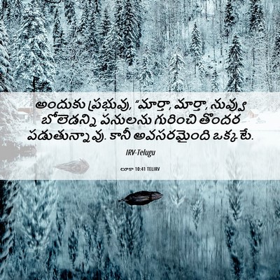 Picture 06 - లూకా 10:41 TELIRV - అందుకు ప్రభువు, - Bible Verse Picture