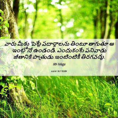 Picture 06 - లూకా 10:7 TELIRV - వారు మీకు పెట్టే - Bible Verse Picture