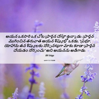 Picture 06 - లూకా 11:1 TELIRV - ఆయన ఒకసారి ఒక చోట - Bible Verse Picture