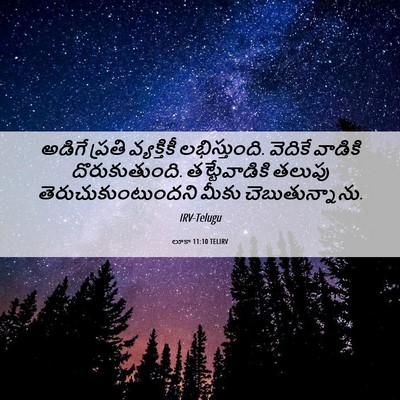Picture 06 - లూకా 11:10 TELIRV - అడిగే ప్రతి - Bible Verse Picture