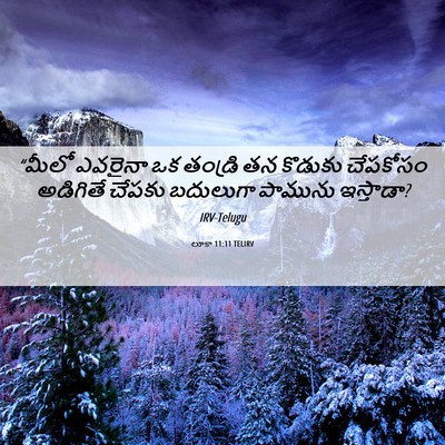 Picture 06 - లూకా 11:11 TELIRV - “మీలో ఎవరైనా ఒక - Bible Verse Picture