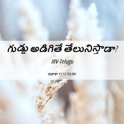 Picture 06 - లూకా 11:12 TELIRV - గుడ్డు అడిగితే - Bible Verse Picture