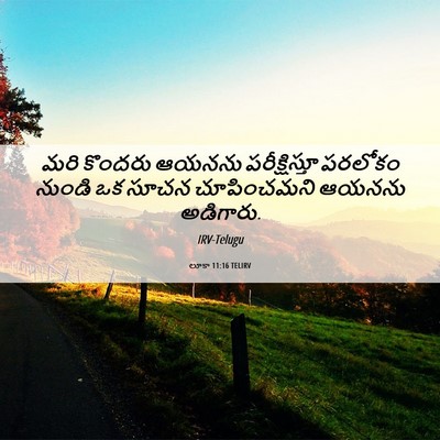Picture 06 - లూకా 11:16 TELIRV - మరి కొందరు ఆయనను - Bible Verse Picture