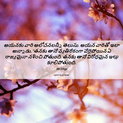 Picture 06 - లూకా 11:17 TELIRV - ఆయనకు వారి - Bible Verse Picture