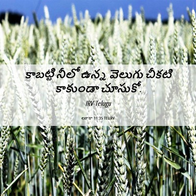 Picture 06 - లూకా 11:35 TELIRV - కాబట్టి నీలో ఉన్న - Bible Verse Picture