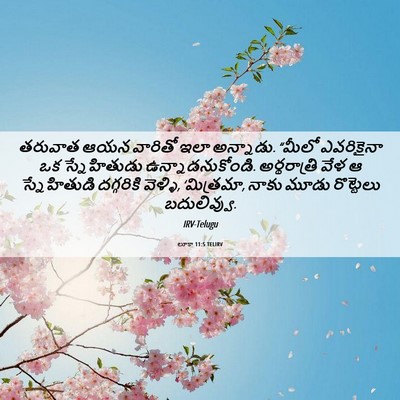 Picture 06 - లూకా 11:5 TELIRV - తరువాత ఆయన వారితో - Bible Verse Picture