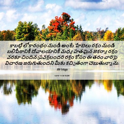 Picture 06 - లూకా 11:50 TELIRV - కాబట్టి లోకారంభం - Bible Verse Picture