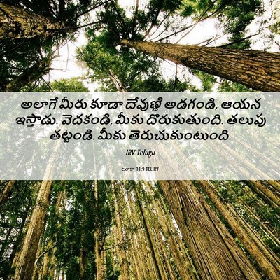 Picture 06 - లూకా 11:9 TELIRV - అలాగే మీరు కూడా - Bible Verse Picture