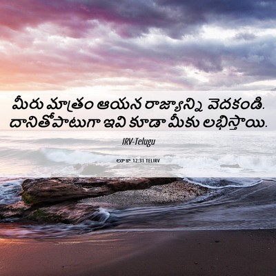 Picture 06 - లూకా 12:31 TELIRV - మీరు మాత్రం ఆయన - Bible Verse Picture