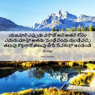 Picture 06 - లూకా 12:36 TELIRV - యజమాని ఎప్పుడు - Bible Verse Picture