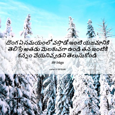 Picture 06 - లూకా 12:39 TELIRV - దొంగ ఏ సమయంలో - Bible Verse Picture