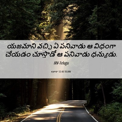 Picture 06 - లూకా 12:43 TELIRV - యజమాని వచ్చి ఏ - Bible Verse Picture