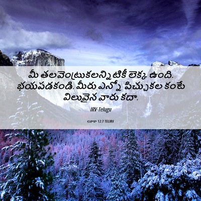 Picture 06 - లూకా 12:7 TELIRV - మీ - Bible Verse Picture