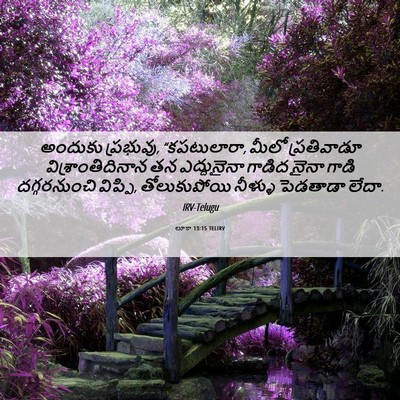 Picture 06 - లూకా 13:15 TELIRV - అందుకు ప్రభువు, - Bible Verse Picture