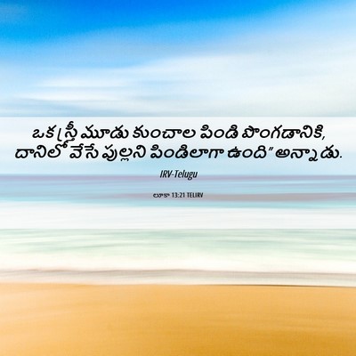 Picture 06 - లూకా 13:21 TELIRV - ఒక స్త్రీ మూడు - Bible Verse Picture