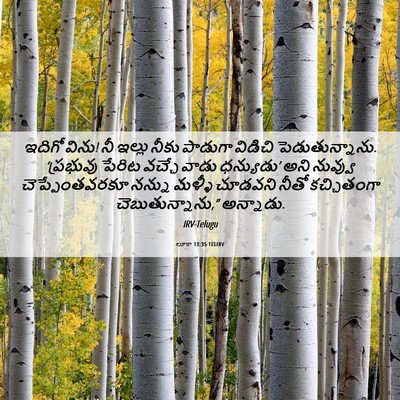 Picture 06 - లూకా 13:35 TELIRV - ఇదిగో విను! నీ - Bible Verse Picture