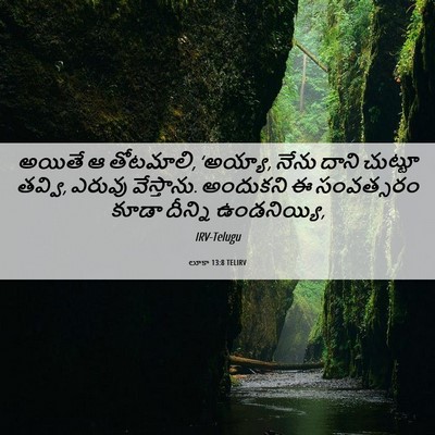 Picture 06 - లూకా 13:8 TELIRV - అయితే ఆ తోటమాలి, - Bible Verse Picture