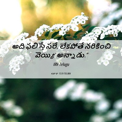 Picture 06 - లూకా 13:9 TELIRV - అది ఫలిస్తే సరే, - Bible Verse Picture