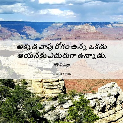 Picture 06 - లూకా 14:2 TELIRV - అక్కడ వాపు రోగం - Bible Verse Picture