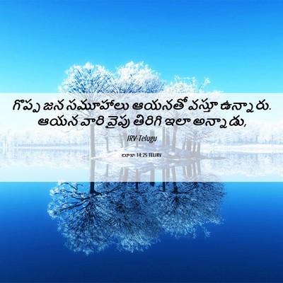 Picture 06 - లూకా 14:25 TELIRV - గొప్ప జన సమూహాలు - Bible Verse Picture
